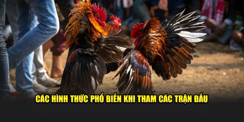 Các hình thức phổ biến khi tham các trận đấu