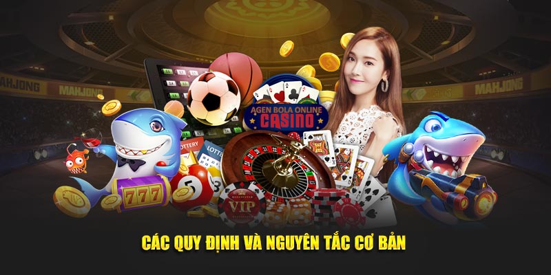 Các quy định và nguyên tắc cơ bản cần nắm